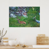 ベッド付きバック ポスター (キッチン)