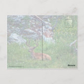 ベッド付きバック ポストカード (裏面)