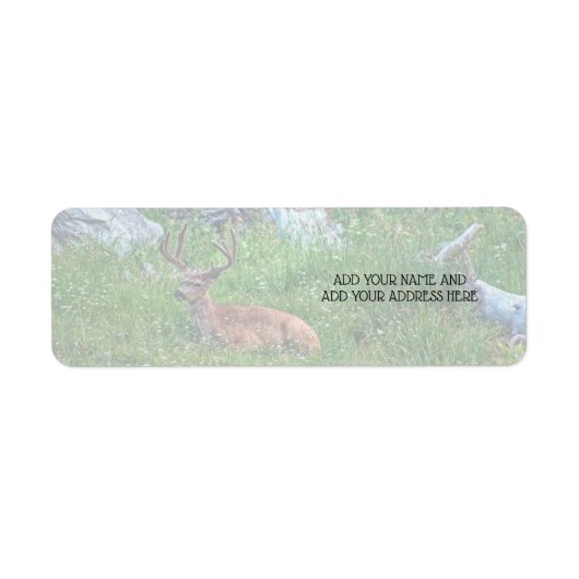 ベッド付きバック ラベル (正面)