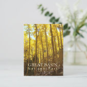 ベッ素晴らしン国立公園 ポストカード (スタンド正面)