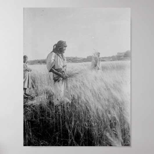 ベツレヘムのボアズの畑で ポスター (正面)