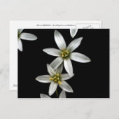 ベツレヘムの星 ポストカード (正面/裏面)