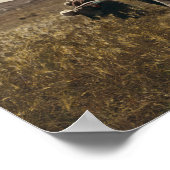 ベツレヘムの畑で収穫した大麦 ポスター (角)