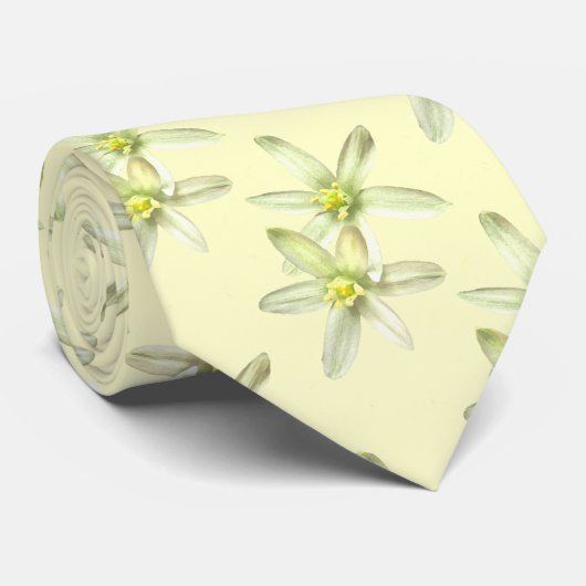 ベツレヘム・タイの星 ネクタイ (ロール)