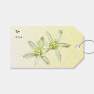 ベツレヘム·パック·オブ·ギフトラベル ギフトタグ