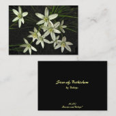 ベツレヘムATCの星 名刺 (正面/裏面)