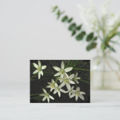 ベツレヘムATCの星 名刺 (スタンド正面)