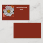 ベツーヌ 名刺 (正面/裏面)