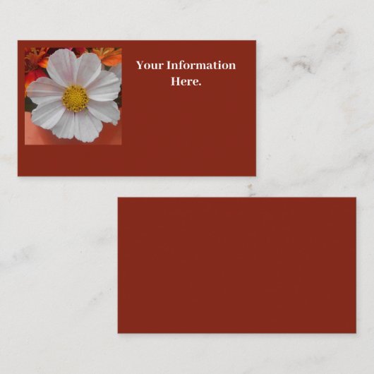 ベツーヌ 名刺 (正面/裏面)