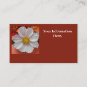 ベツーヌ 名刺 (正面)