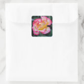 ベティブープバラ スクエアシール (バッグ)