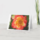 ベティー・ブープのばら色の挨拶状 カード (裏面)