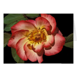 ベティー・ブープカード