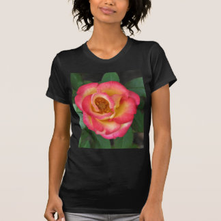 ベティー・ブープ140 Tシャツ