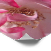 ベティ・ブップバラ ポスター (角)