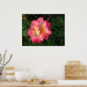 ベティ・ブース – 2009年5月24日139 ポスター (キッチン)