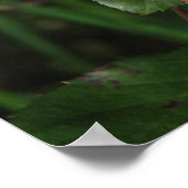 ベティ・ブース – 2009年5月24日139 ポスター (角)