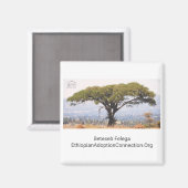 ベテセブフェリーガキッチンマグネット マグネット (正面/裏面)