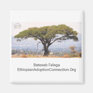 ベテセブフェリーガキッチンマグネット マグネット