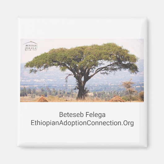 ベテセブフェリーガキッチンマグネット マグネット (正面)