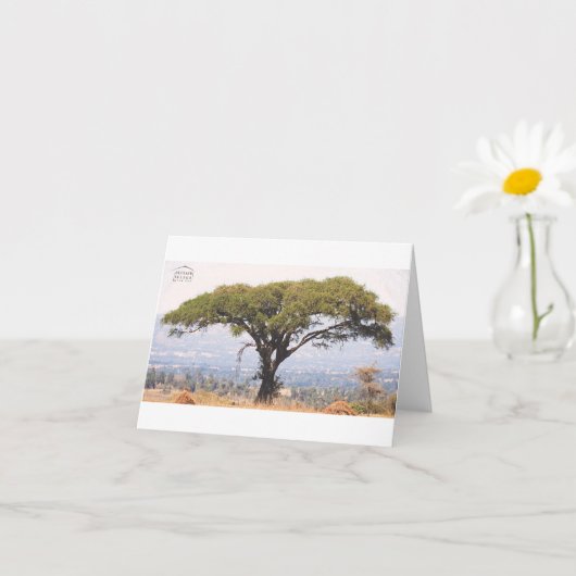 ベテセブフェレガブラックノートカード カード (小さな植物)