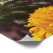 ベテュデス ポスター (角)