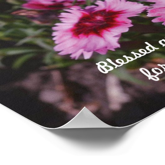 ベテュデス ポスター (角)