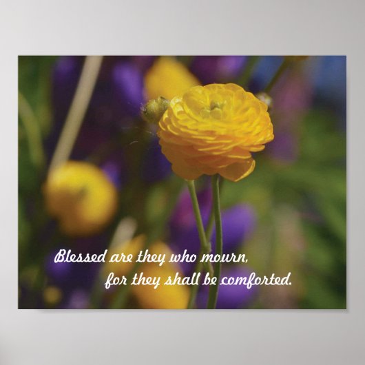 ベテュデス ポスター (正面)