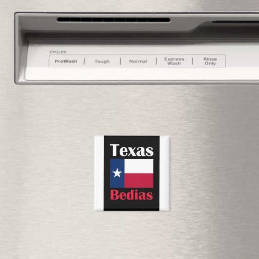 ベディアスTX マグネット (インサイチュ (食洗機))