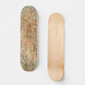 ベデカーの旅行ガイドからの1909年のAdirondacksの地図 スケートボード (正面)