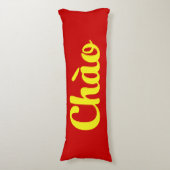 ベトナムのチェếオệ ボディピロー (正面縦)