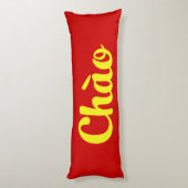 ベトナムのチェếオệ ボディピロー (裏面 (縦))