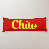 ベトナムのチェếオệ ボディピロー (正面)