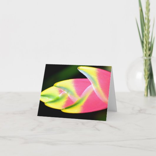 ベトナムのヘリコニア　オールオケージョン・ノートカード サンキューカード (正面)