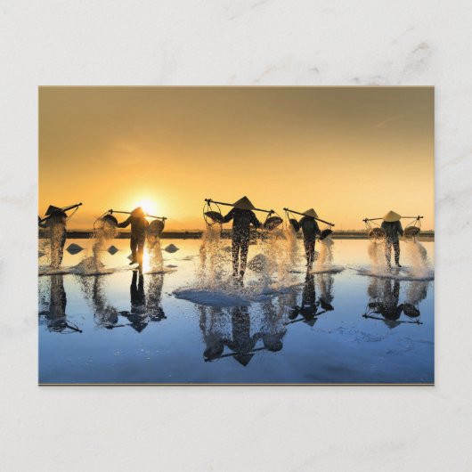 ベトナムの塩分収穫 ポストカード (正面)