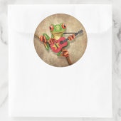 ベトナムの旗のギターを演奏しているアマガエル ラウンドシール (バッグ)