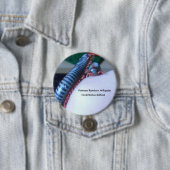 ベトナムの虹のヤスデ(Tonkinbolusのdolfusii) 缶バッジ (インサイチュ)