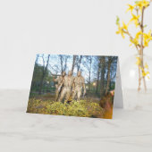 ベトナムの退役軍人のための復員軍人の日の挨拶 カード (黄色い花)