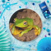 ベトナムの黒Webbedすべるカエル ペーパープレート (パーティー)