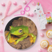 ベトナムの黒Webbedすべるカエル ペーパープレート (パーティー)