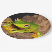 ベトナムの黒Webbedすべるカエル ペーパープレート (アングル)