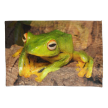 ベトナムの黒Webbedすべるカエル