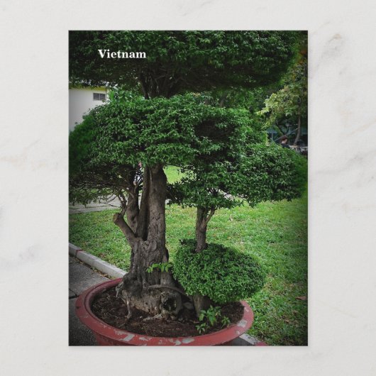 ベトナムアジア通り写真 シーズンポストカード (正面)