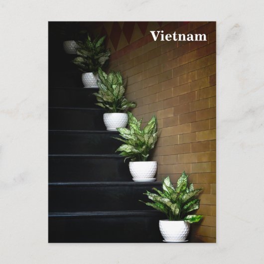 ベトナムアジア通り写真 シーズンポストカード (正面)