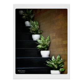 ベトナムアジア通り写真 ポスター