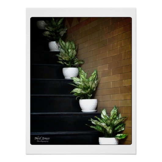 ベトナムアジア通り写真 ポスター (正面)