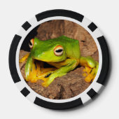 ベトナムブラックウェッブグライディングカエル ポーカーチップ (裏面)