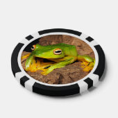 ベトナムブラックウェッブグライディングカエル ポーカーチップ (シングル)