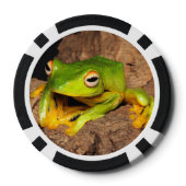 ベトナムブラックウェッブグライディングカエル ポーカーチップ (裏面)