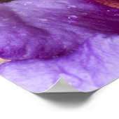 ベトナム南東部。モッシーな木のカエルのクローズアップ ポスター (角)